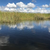 Everglades FLORIDA